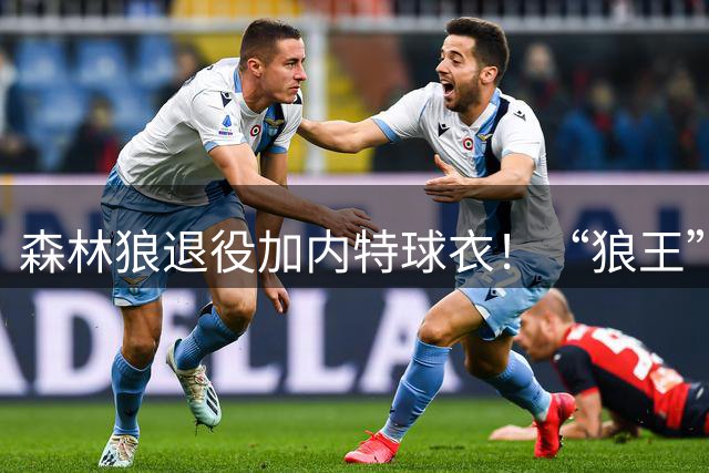 森林狼退役加内特球衣！“狼王”终于圆满了！