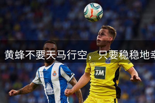 黄蜂不要天马行空，只要稳稳地幸福？